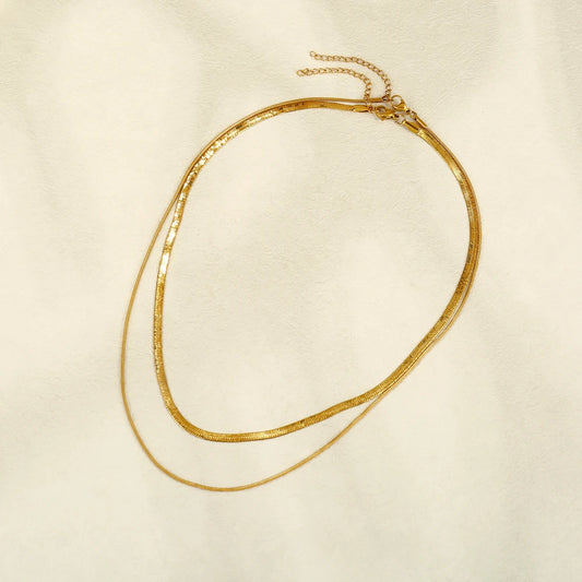 Double Layered Necklace